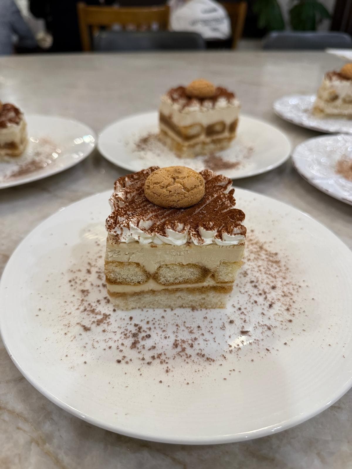 Individual tiramisu portions plated for dessert service